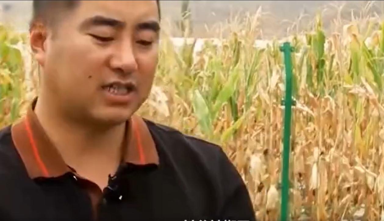 甘肃“辣椒王”刘彦斌,年产值亿万元,带动5000多户农户一同致富