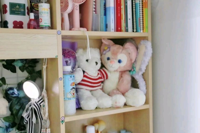 大学宿舍有电源接口吗,大学宿舍有电源插头吗