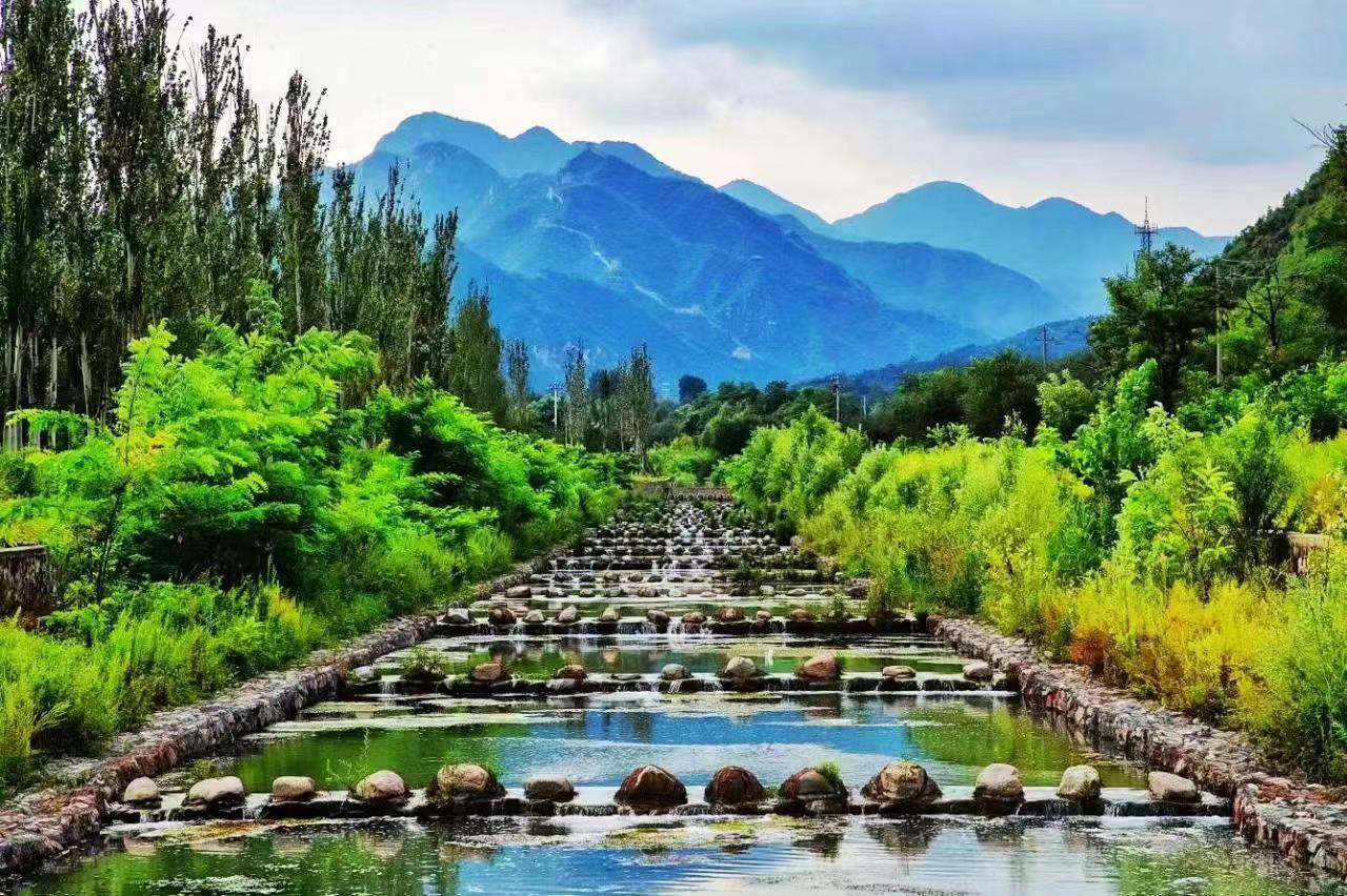 拓宽农民增收新路子,特色产业拓宽农民致富路