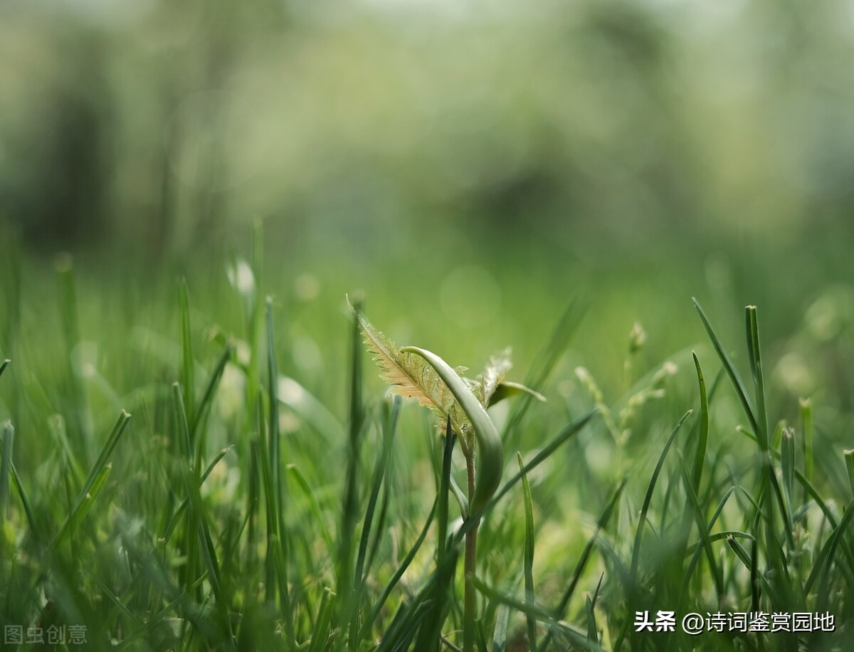 姊呭哀鑷ｄ笁棣栬瘲鍏ㄦ枃,姊呭哀鑷ｈ瘲涓ら鍏ㄦ枃