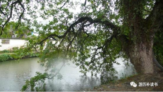 寻迹古徽州,寻迹徽商故里研学徽州文化