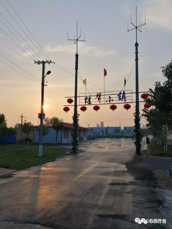 山东滨州“蛙声小镇”创始人闫洪明：用科技升维有机农业