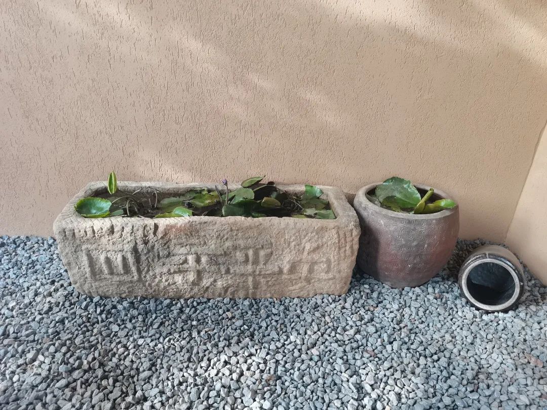 设计知旅第64期丨郑在洛地：设计师职业探索走进神都洛阳