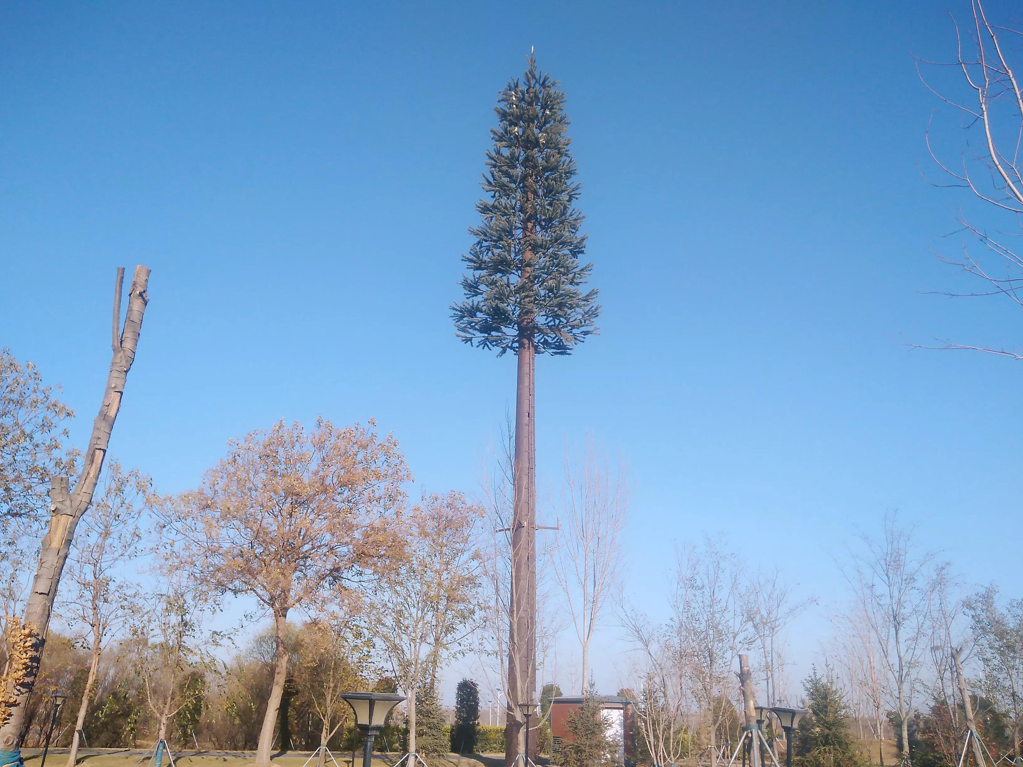 郑州惠济区的花漫里开放了吗,漫花里花卉博览园现在还开放吗