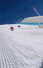 冬奥张国伟比赛视频,张国伟奥运搞笑