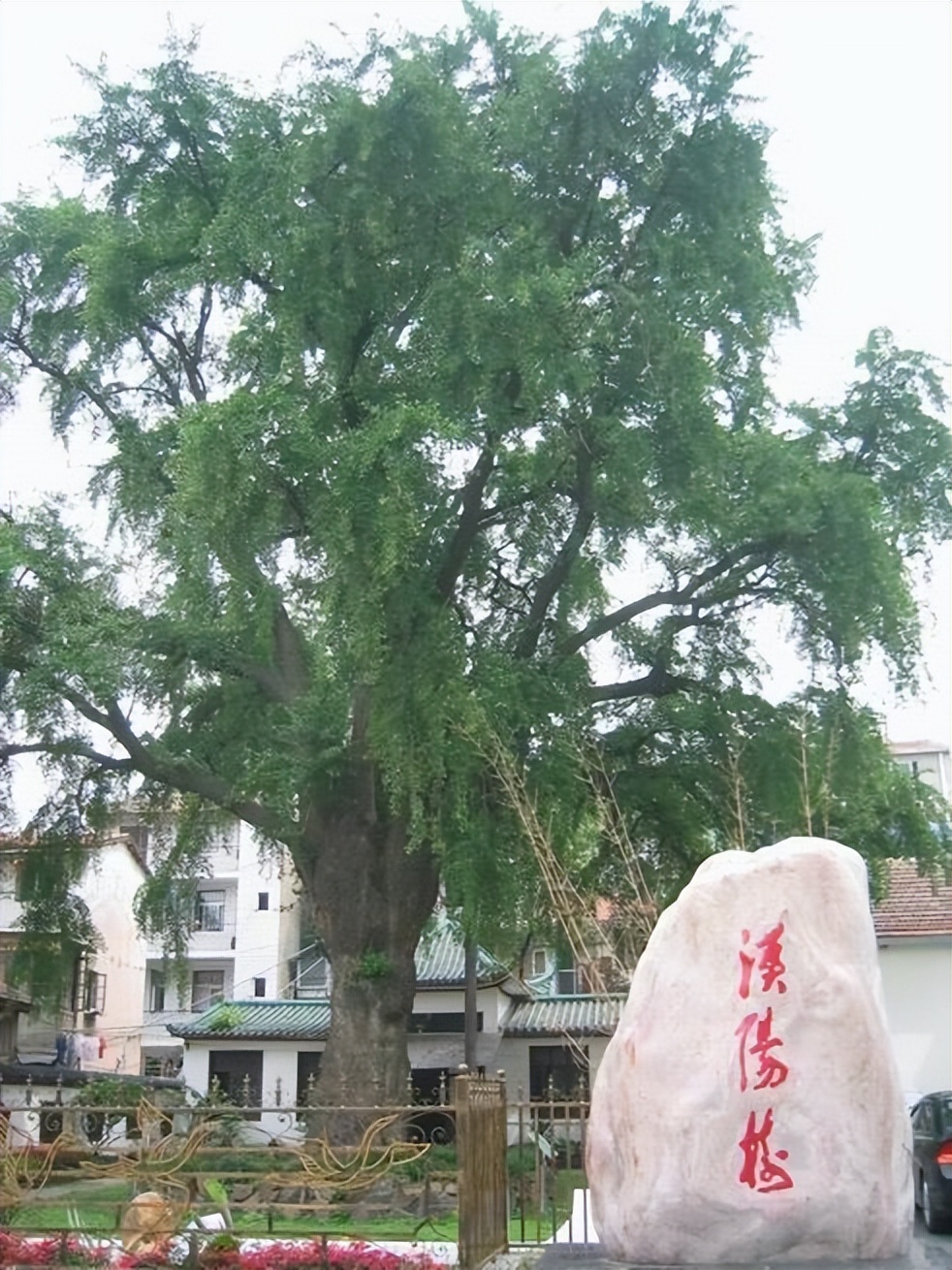 汉阳柏泉人张禹木诗几首禺草号汉阳