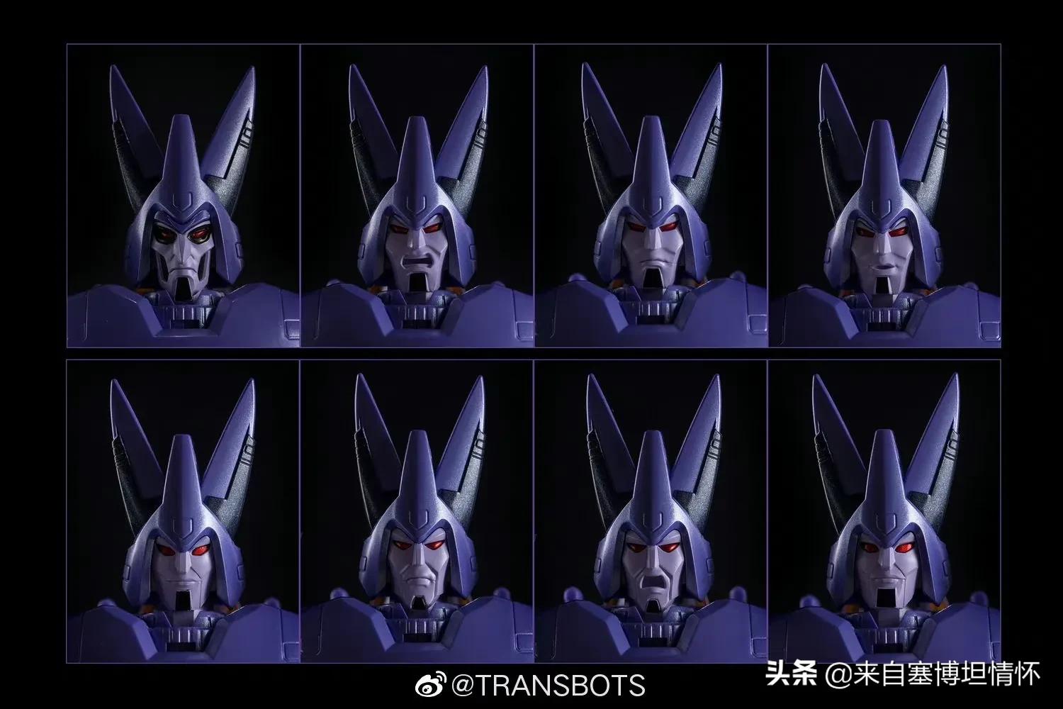 霸天虎二号人物是谁,谁是霸天虎