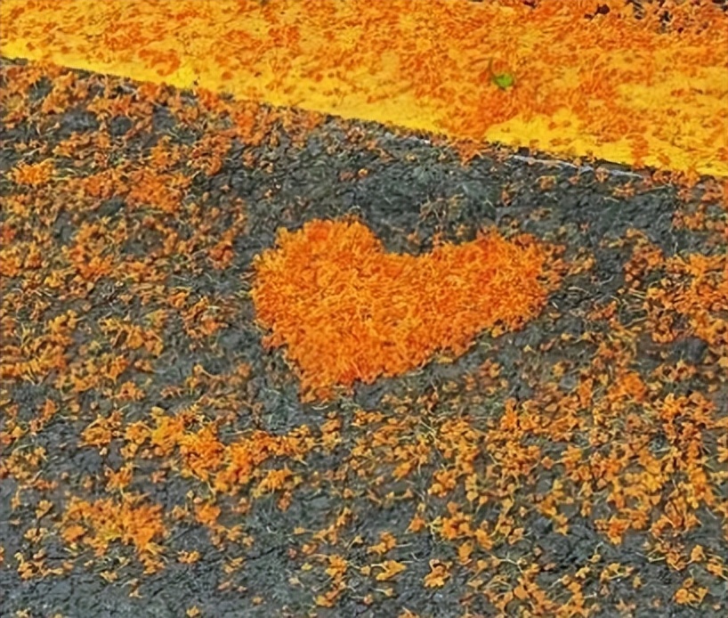 工作群退群告别语幽默,退工作群告别语简短幽默