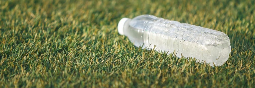 盘点一下,生物技术能为世界可持续发展提供多少思路