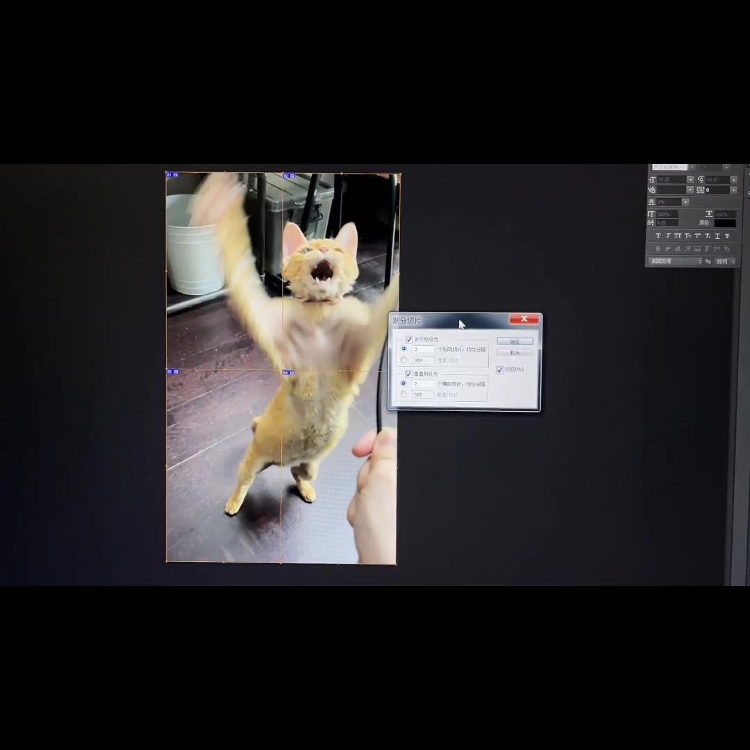 图片分割四份在一起的视频教程,怎么在回复里引用视频链接