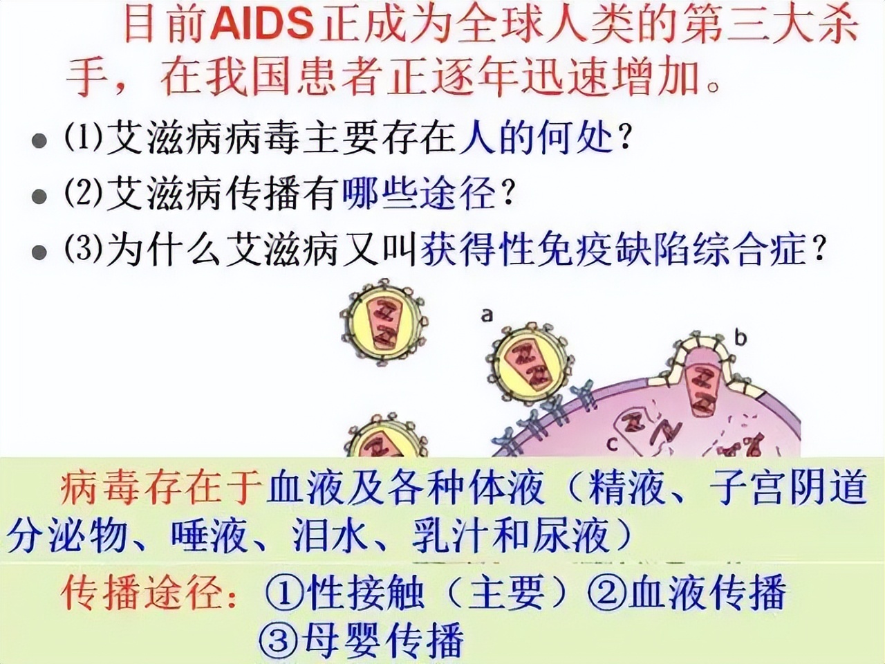 生物高中知识点免疫调节,高中生物免疫调节精讲视频