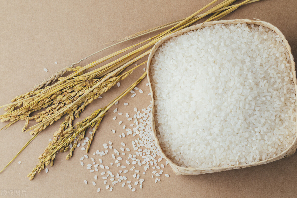 南京财经大学在江苏排名第几,南京财经大学江苏省排名多少