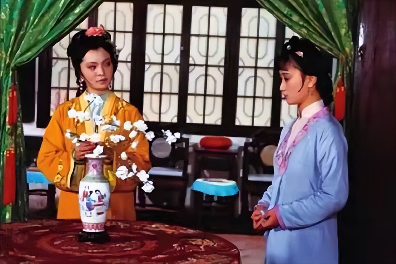 红楼梦嫦娥形象描述,红楼梦里嫦娥