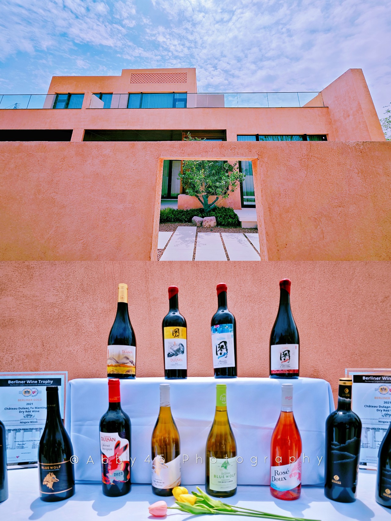 夏天旅行怎么能少得了宁夏呢?5天打卡19家酒庄,微醺的快乐超赞