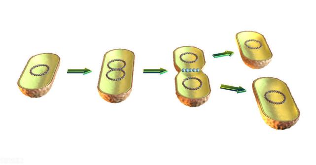 链动2+1，提升团队粘性，真正做到团队互帮互助的商业模式