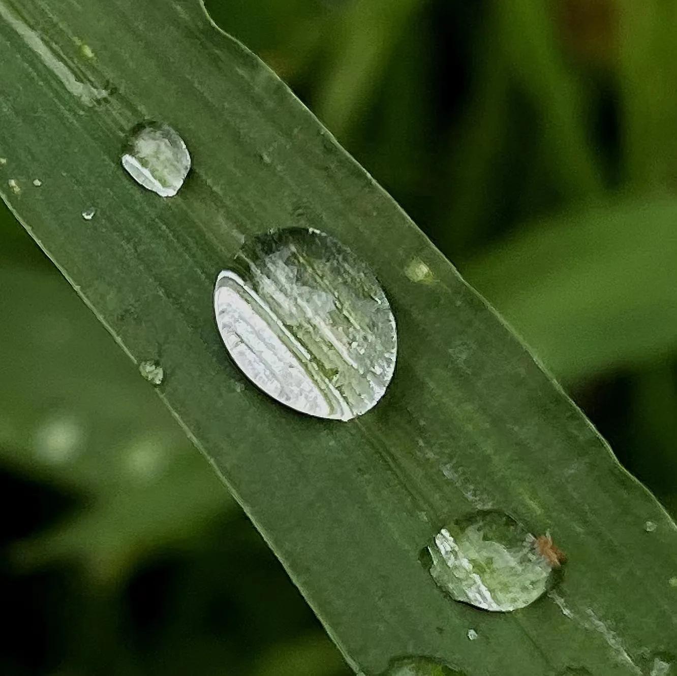 拍拍贷申请条件,拍拍贷案件通知是真的吗