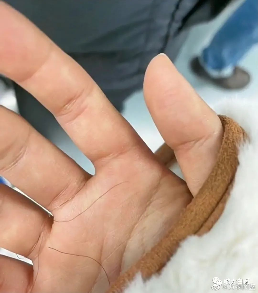 不要乱起淘宝名字,淘宝名字不能随便取