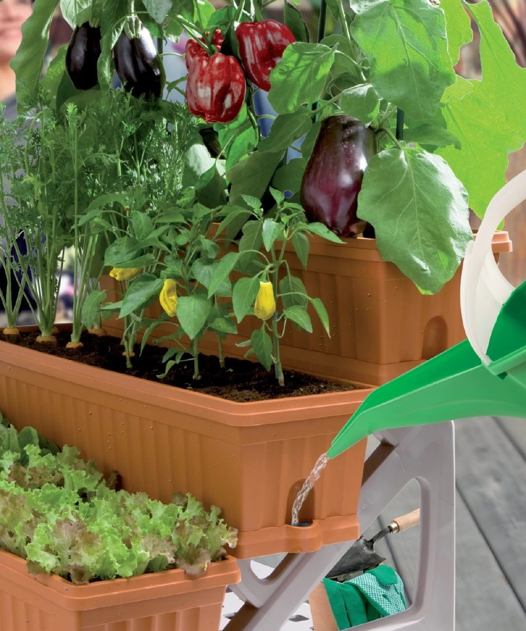 阳台种菜的100种方法,阳台种菜的正确方法大全