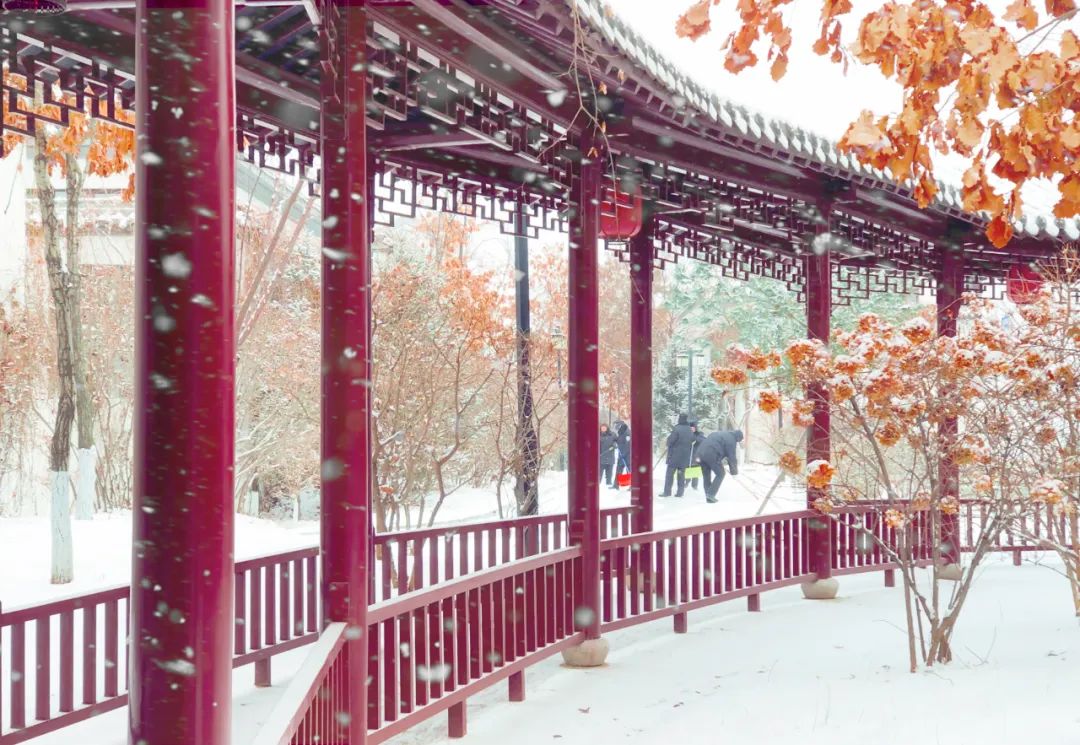 雪的唯美诗句冬雪,描写冬雪的优美诗句大全