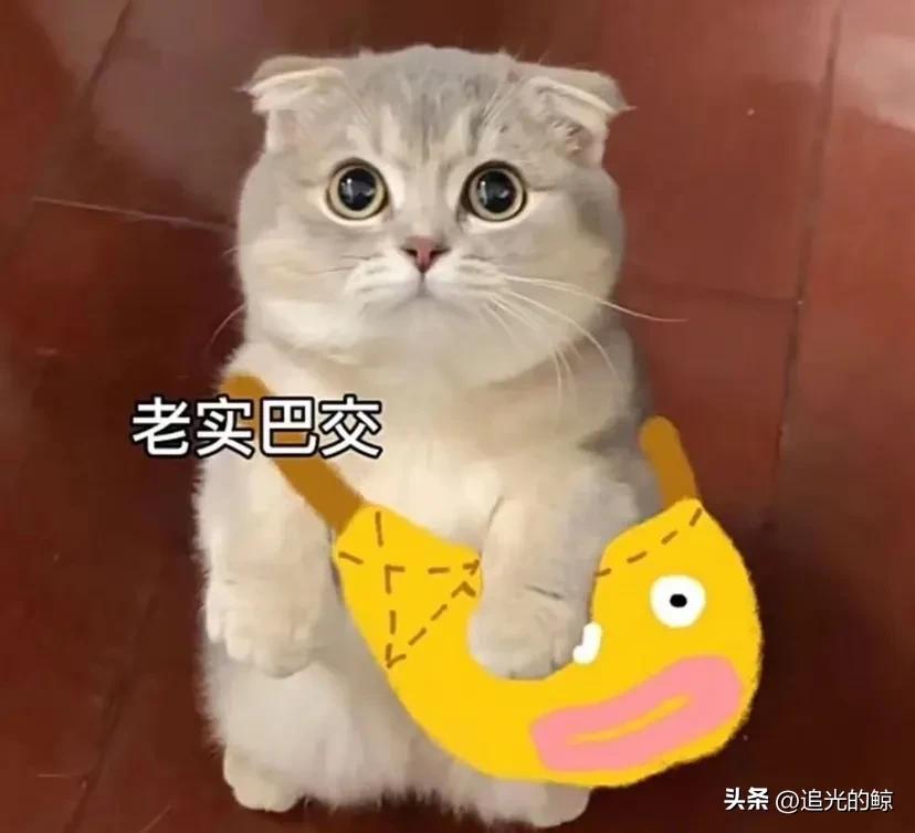 陪你看海的人比海更温柔,陪你看海的人比海温柔出处