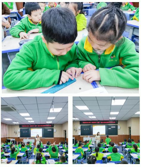 双减政策下如何开展小学科学教学,双减政策下的小学科学课堂