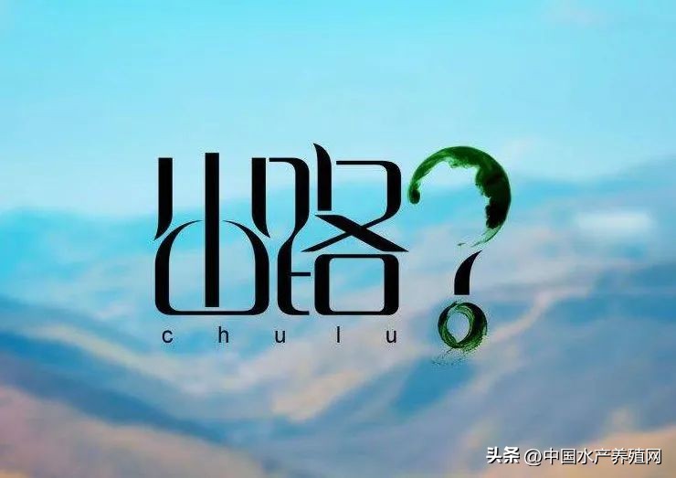 今年还可以养鱼吗,今年养鱼亏了明年还要养吗