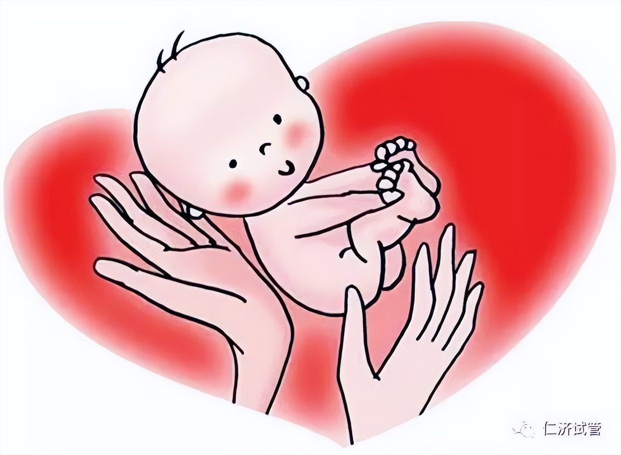 胚胎移植前为什么要胚胎冷冻,胚胎移植前为什么要做b超