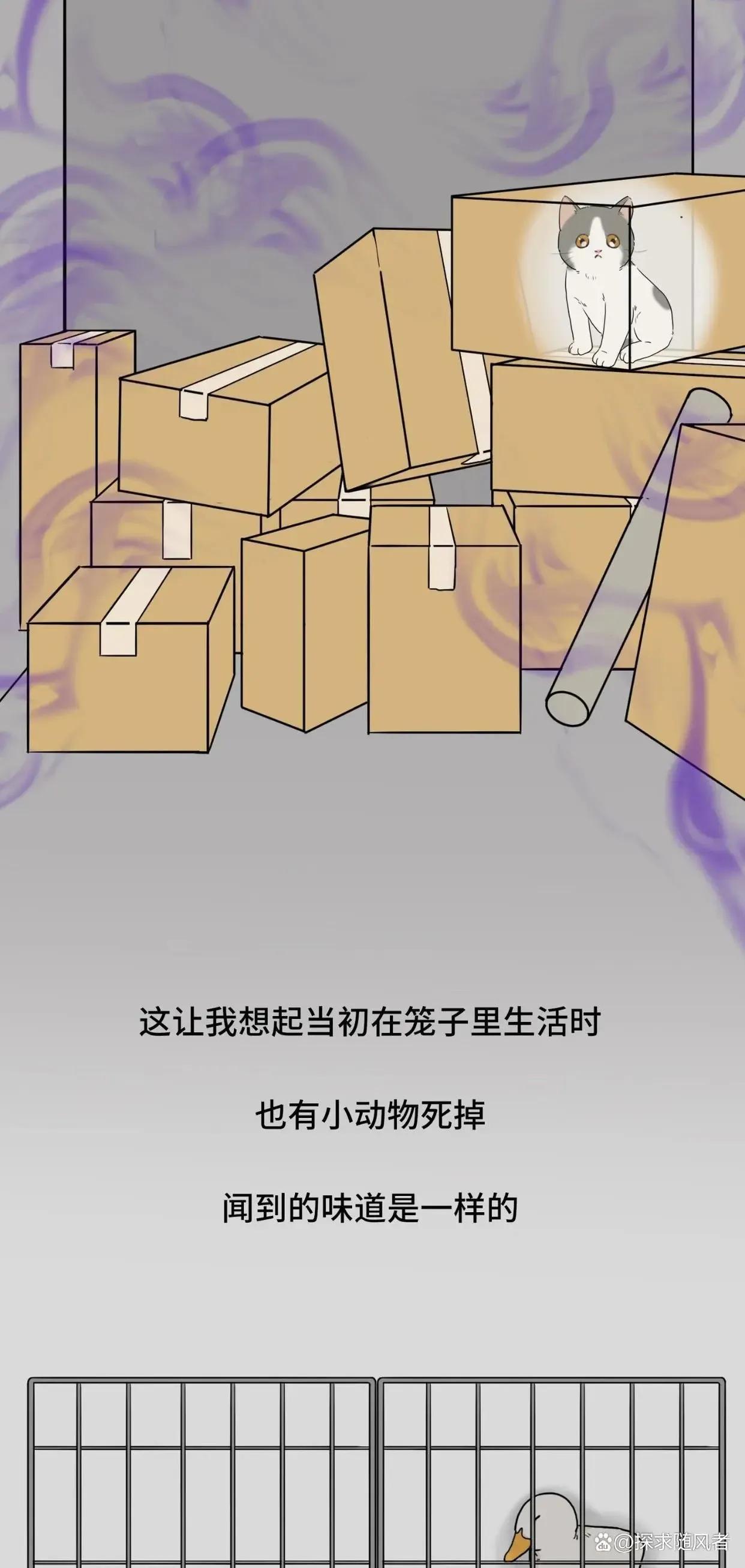 救救我我不想死日语,救救我漫画免费观看