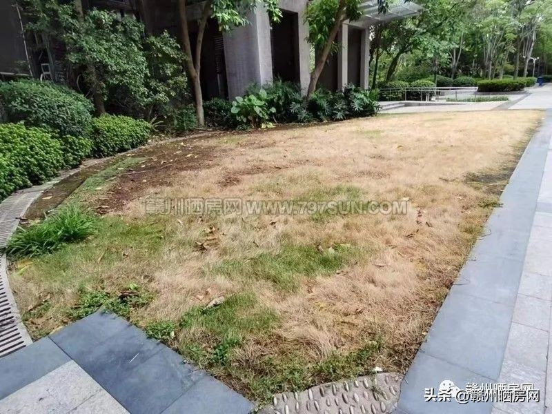 赣州房子天花板,赣州小区天花板