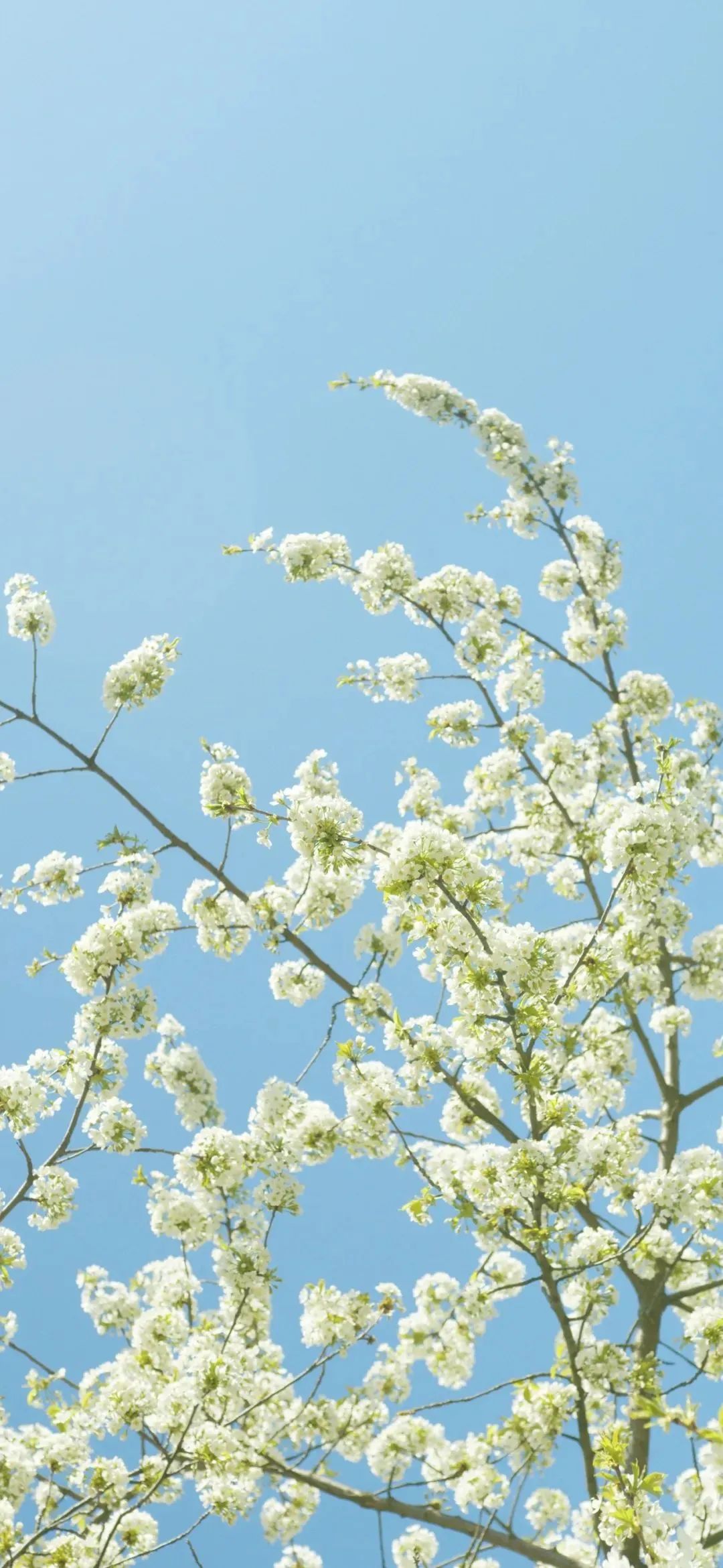 心仪的壁纸,喜欢就买没钱就赚的壁纸