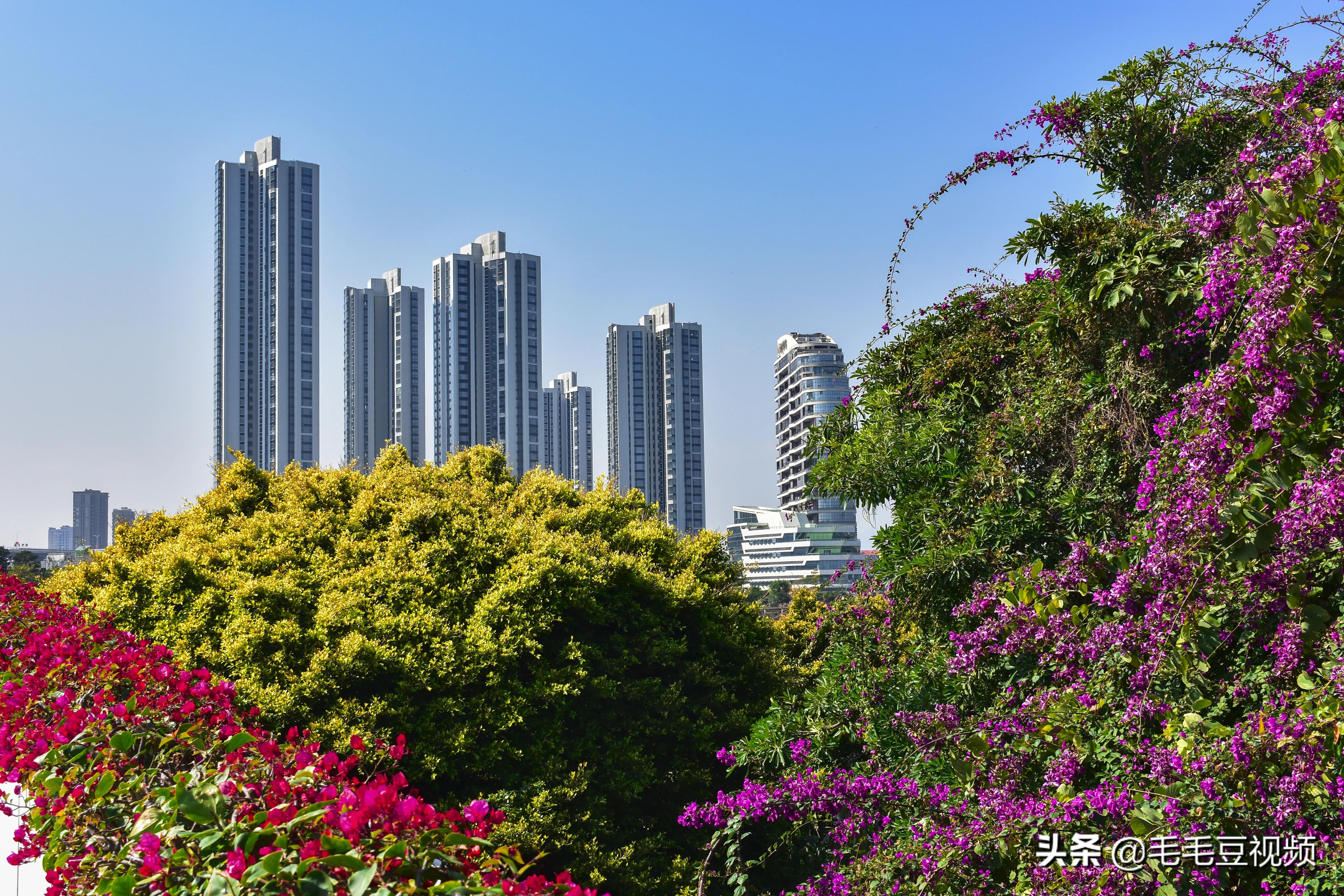 厦门适合初次约会的景点,厦门约会免费景点攻略图