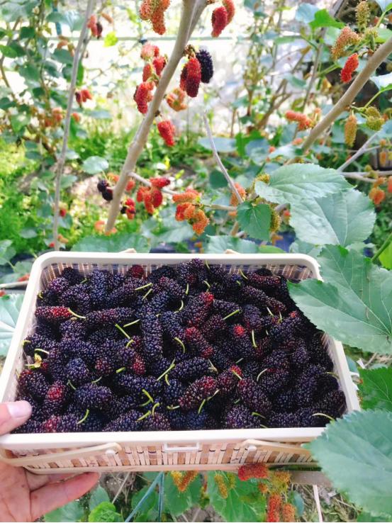 宁波九龙湖山水风景如画,宁波九龙湖景区