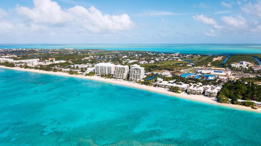 （七·四）蜘蛛侠的控制黑网