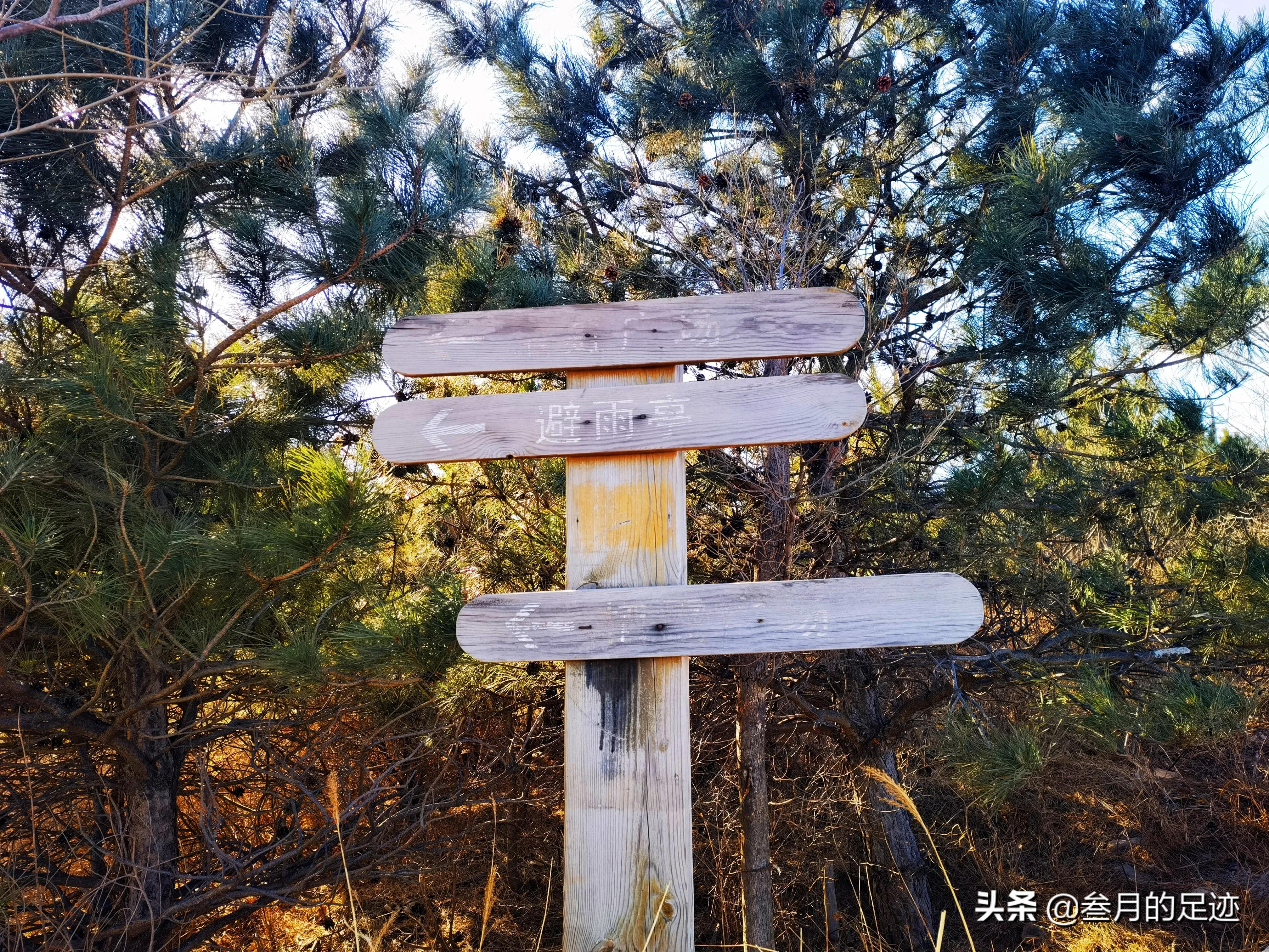北京门头沟野山徒步攻略,北京门头沟徒步一日游