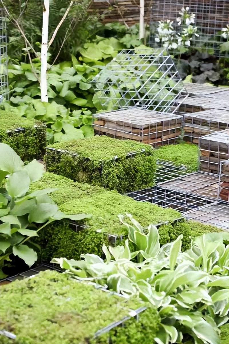 现代式庭院石墙,庭院老石墙院墙怎么处理好