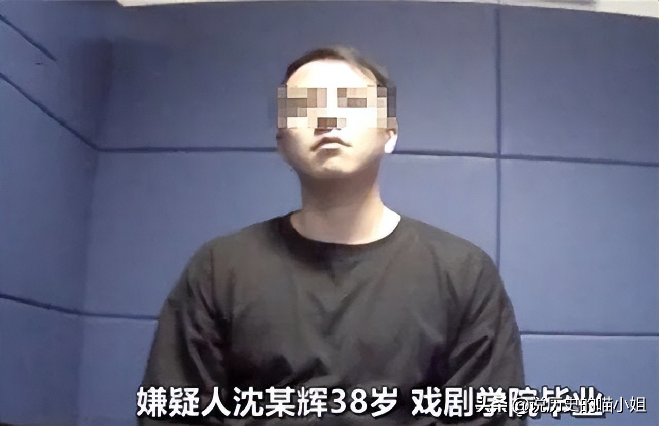 沈先生落网,沈导演被警方抓视频