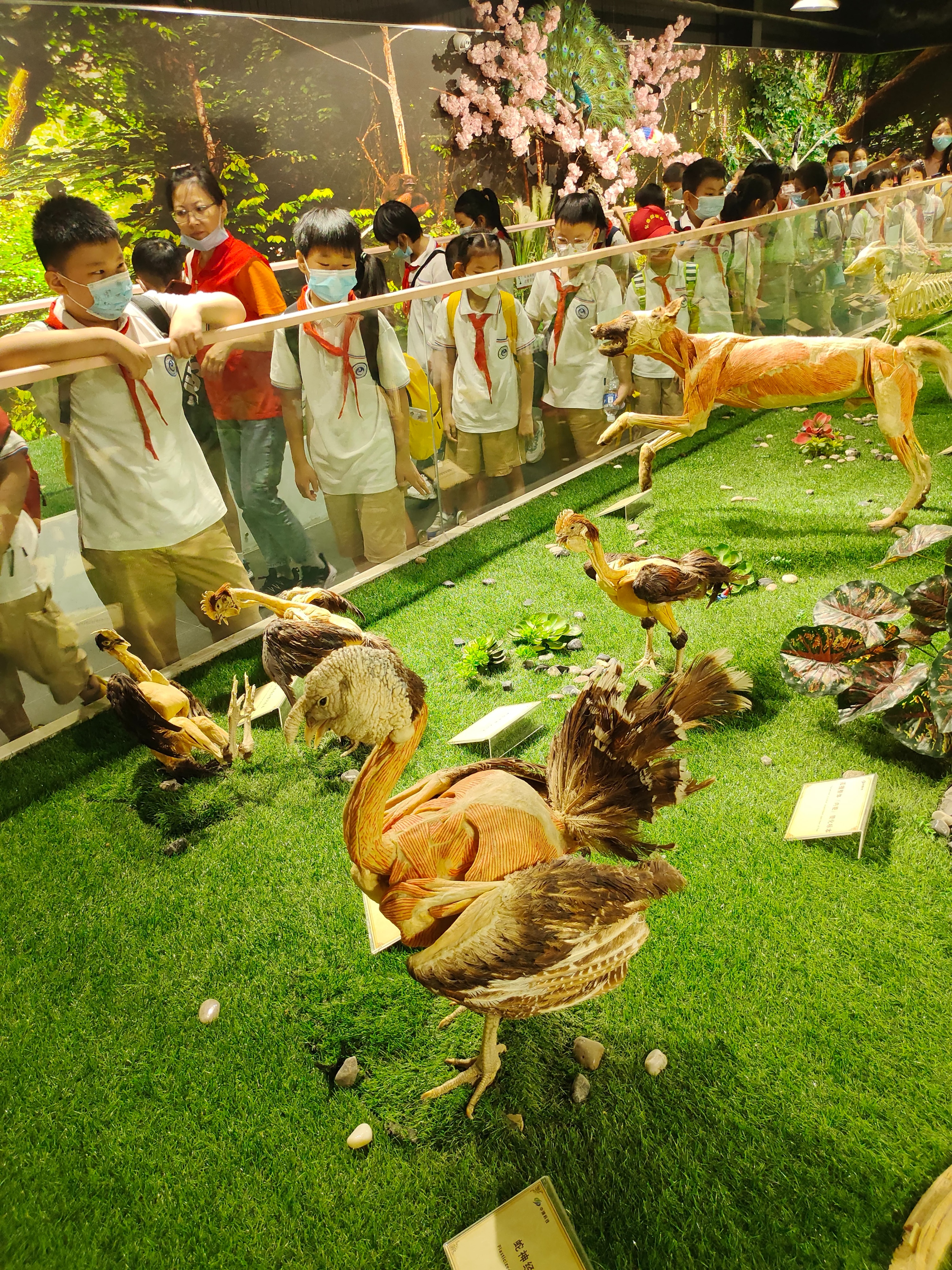 郑州冬季周末遛娃好去处,郑州遛娃好去处排行榜