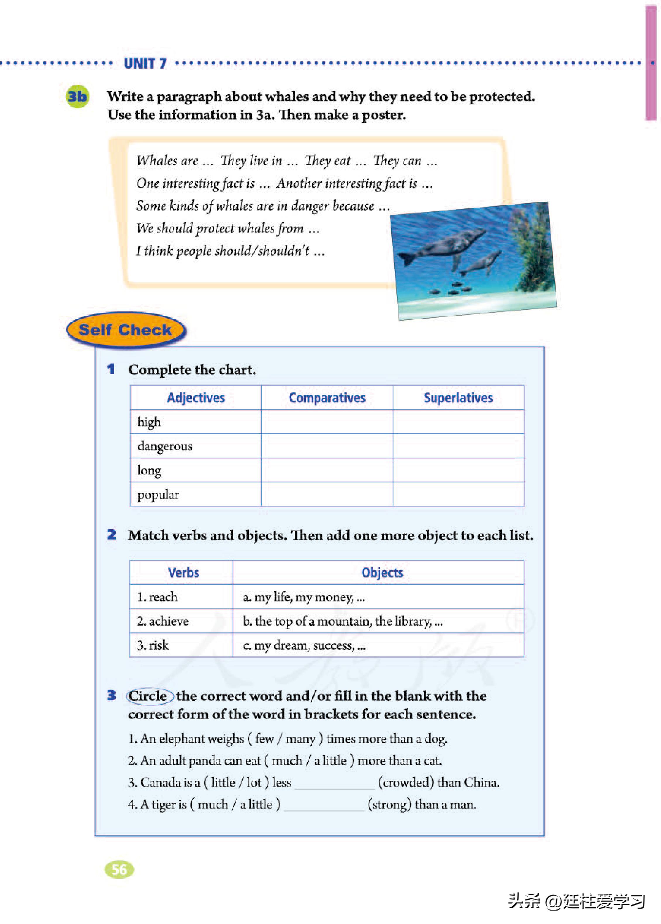 英语八年级下册电子版沪教版,英语八年级下册电子版同步练习册