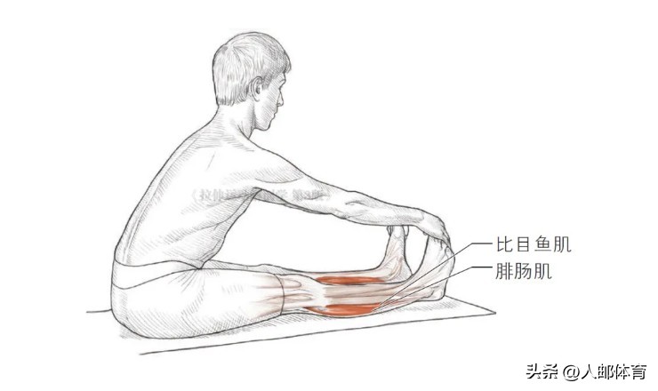 在沙发上锻炼,久坐一族伸展练习方法