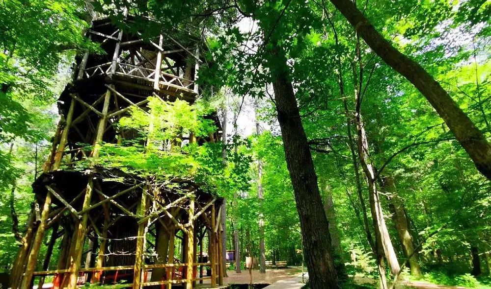 吉林白山一日游自由行攻略,白山三道沟自驾游攻略