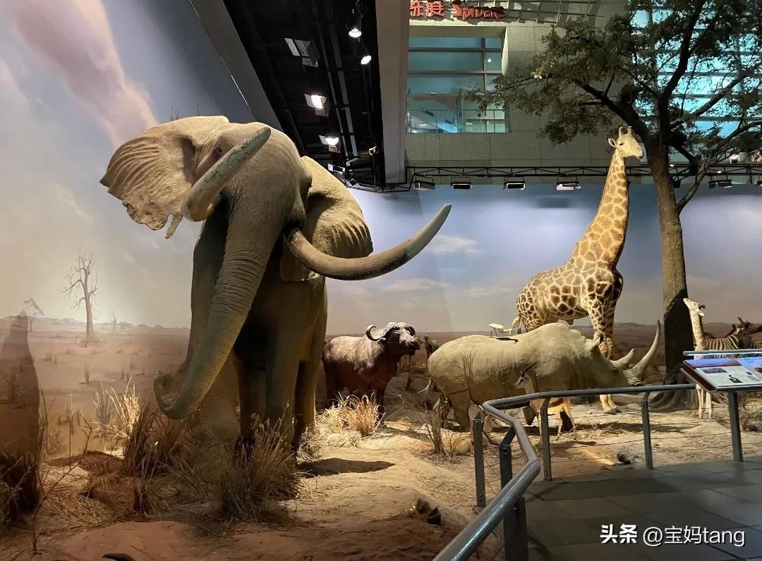 上海科技馆游玩全攻略,上海科技馆儿童馆攻略