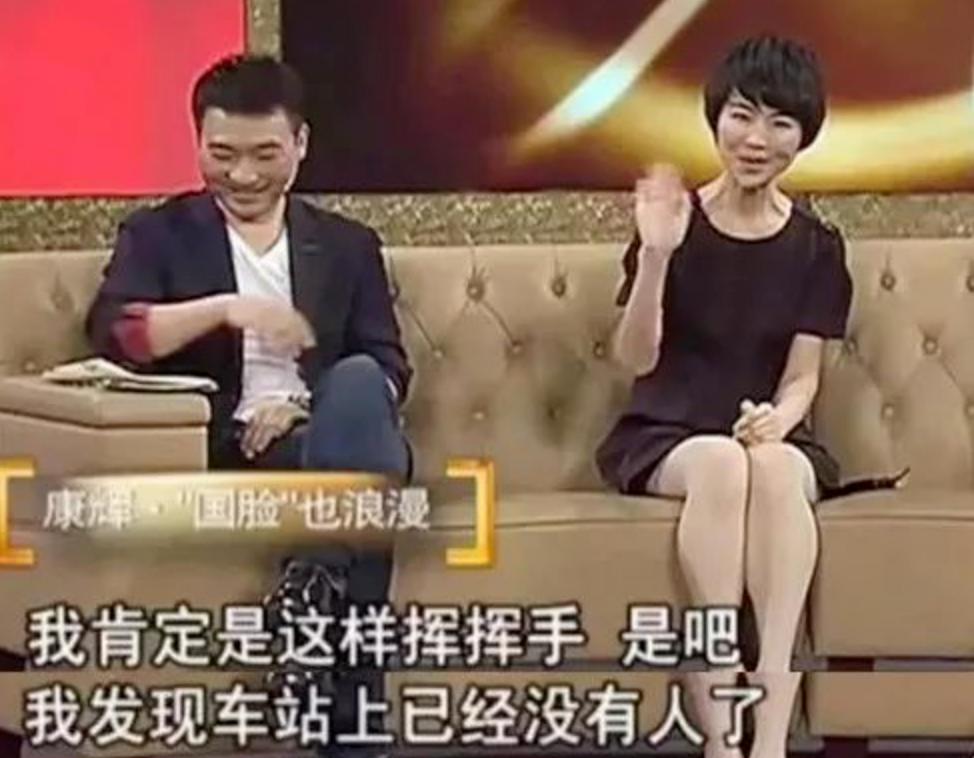 康辉后悔丁克吗,康辉谈后悔丁克视频