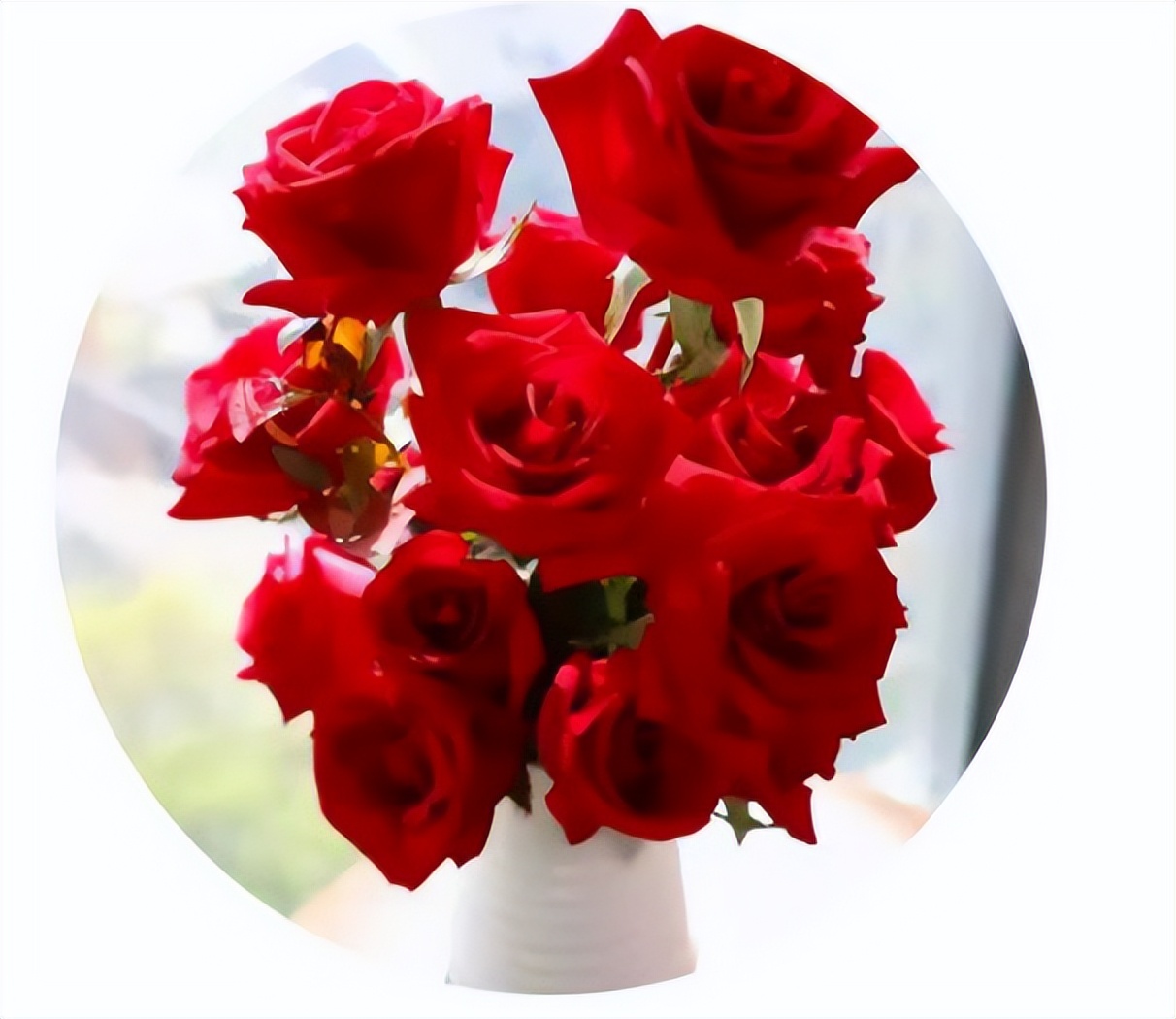 脱单寓意的花语,给脱单闺蜜送什么花语好