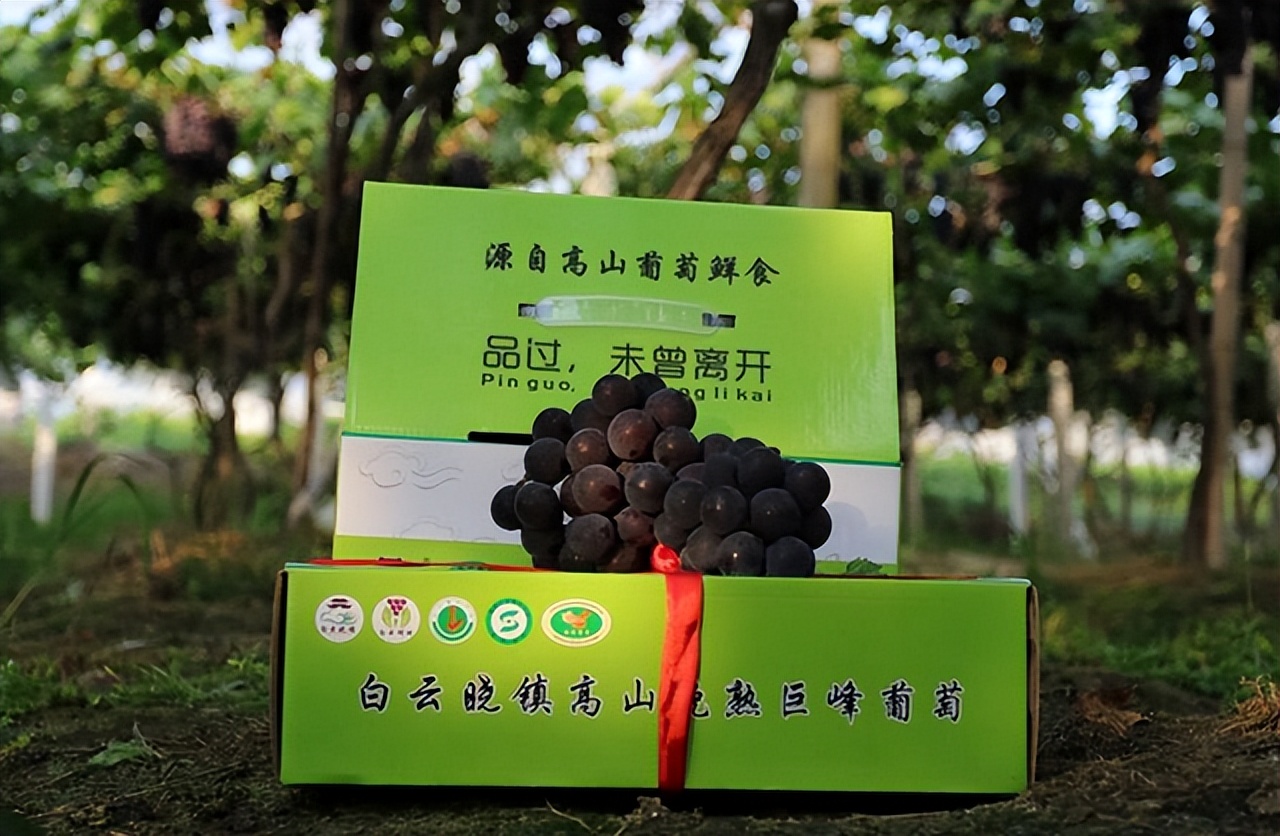 为了打开乡村特色小镇知名度他们多次与一品威客网合作