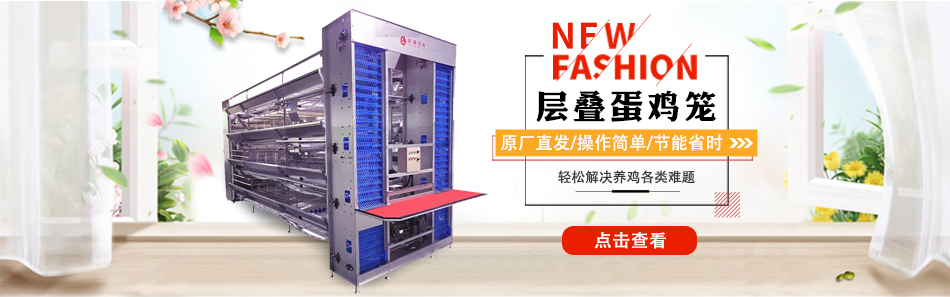 养鸡饲养管理全程,养鸡精细化管理一键解决养殖难题