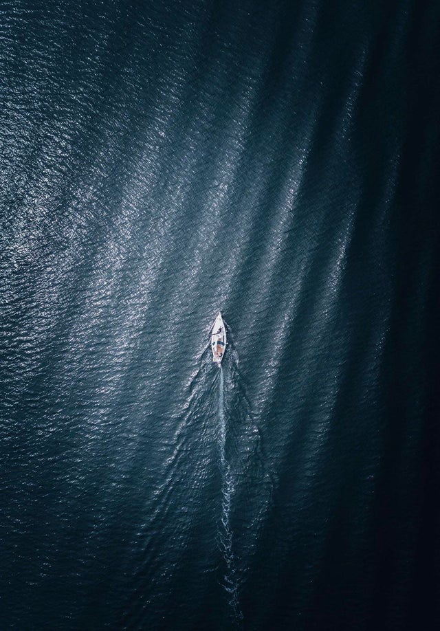 海洋巨蟒真实照片大全,海洋巨蟒真实图片大全