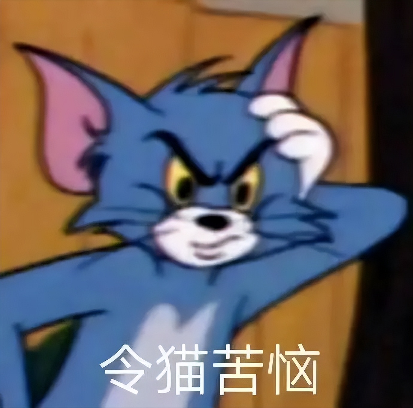 12星座命中注定会被谁征服,12星座谁最有可能成为人生赢家