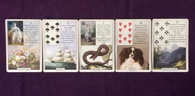 带你认识新的一种预测工具——雷诺曼卡