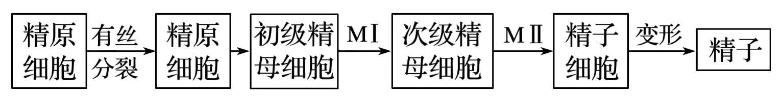 高中生物细胞工程知识点归纳,高二细胞工程的易错点