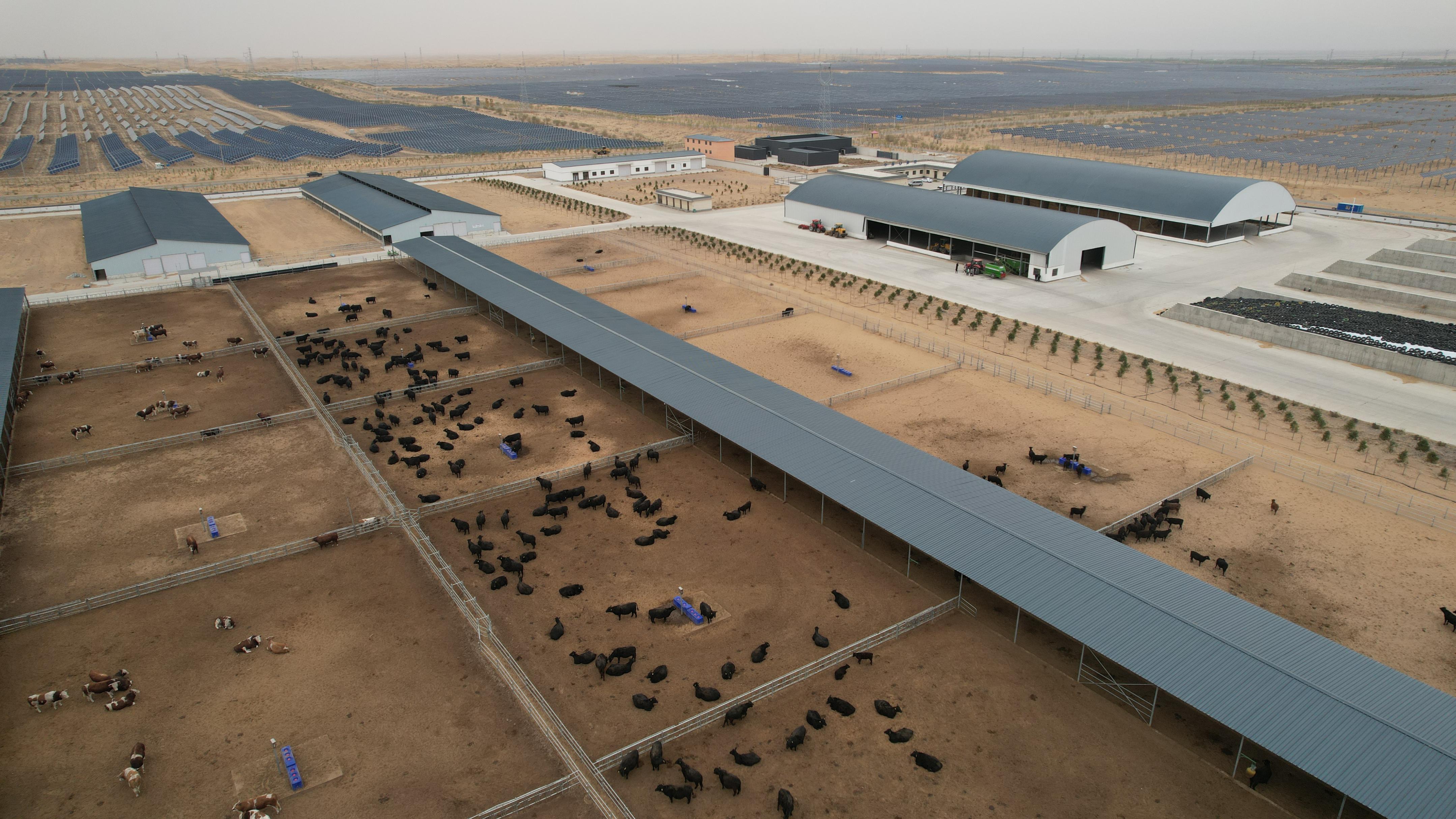 推动落实五大任务,推动五项管理落地见效